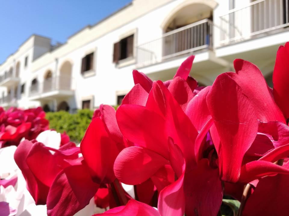 קסטלנטה מרינה Villaggio Catalano מראה חיצוני תמונה